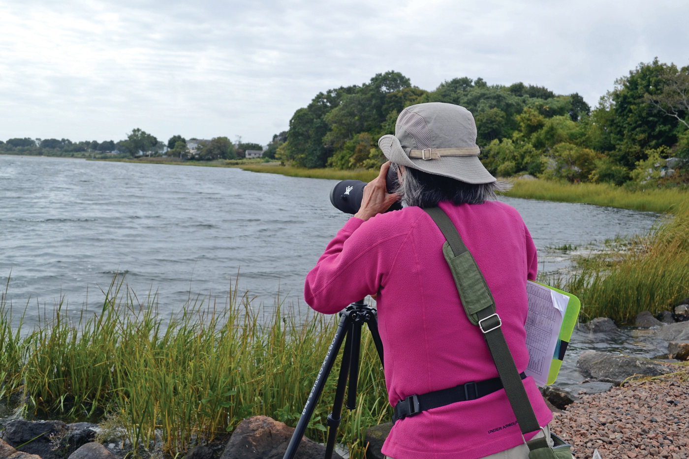 LOTS TO SEE: Marina Wong, head of educational outreach for the Friends of Salter Grove, and an experienced wildlife biologist, spots double-breasted cormorants at Salter Grove state park on Saturday.